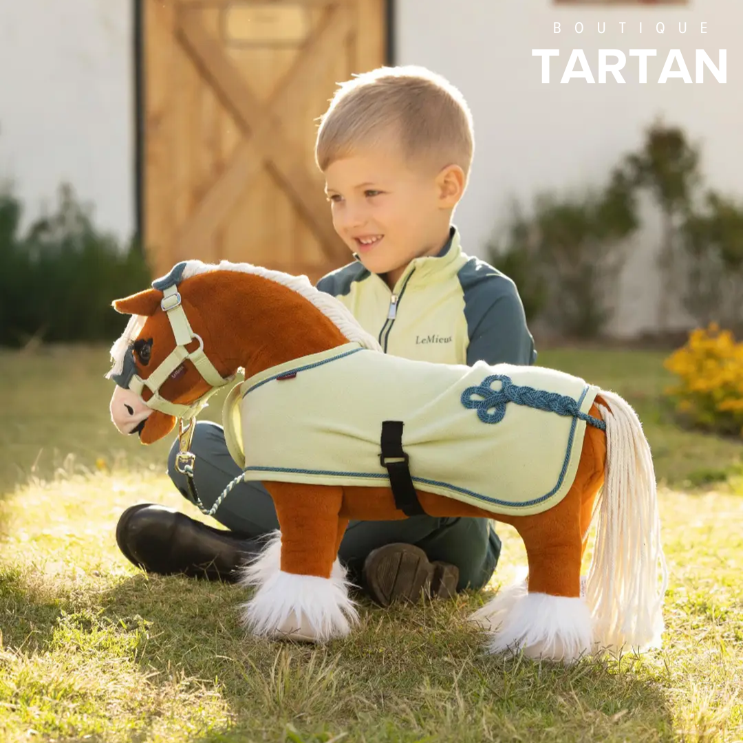 Sundance Toy Pony