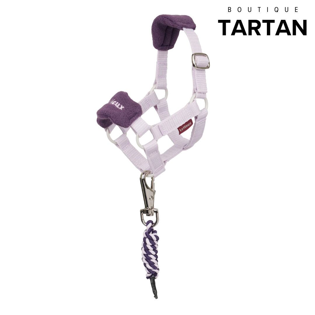 Toy Pony Vogue Headcollar & Leadrope Lilac