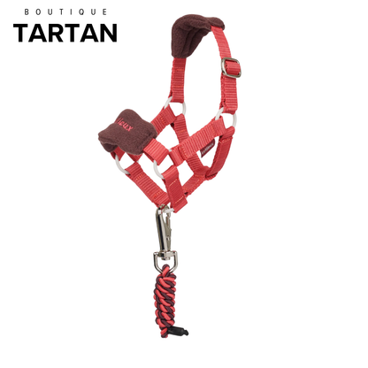 Toy Pony Vogue Headcollar & Leadrope Cranberry