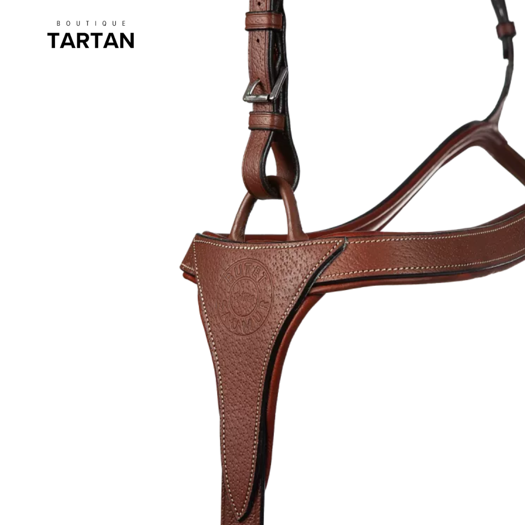 Collier de chasse à pont + martingale sport à anneaux