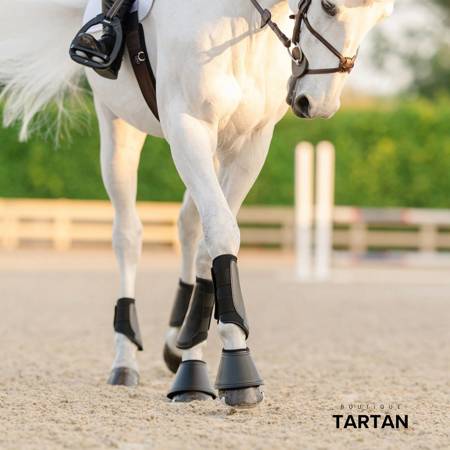 Essential Everyday Boot Set